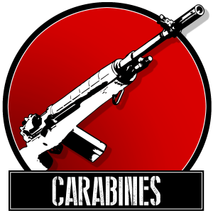 Carabines (arme longue à canon rayé)